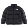 The North Face Nuptse 700 Negro