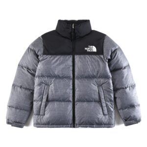 The North Face Nuptse 700 Gris